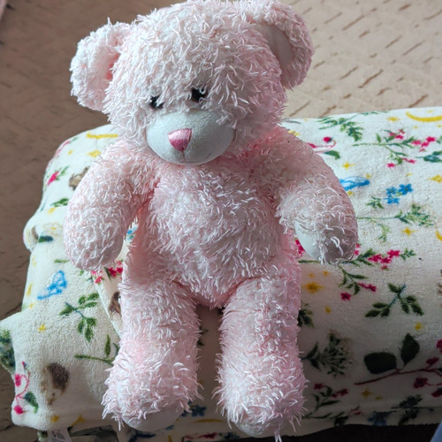 Build bear workshop pink - build-a-bear,