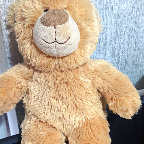 Build bear plush - teddy,
