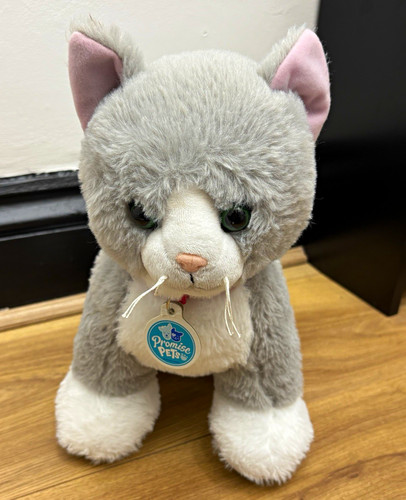 Build bear workshop promise - workshop,