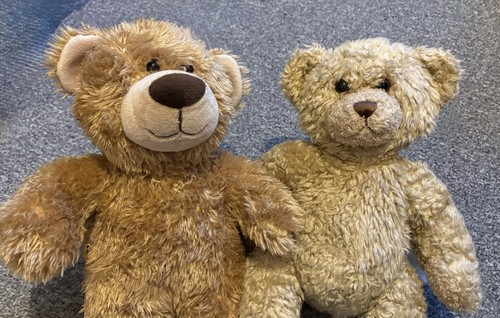 Vintage retired build - build, bear