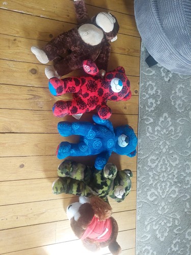 Bundle build bear teddies - of,