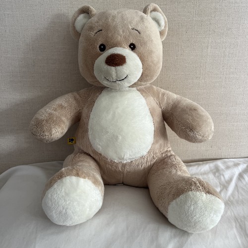 Teddy bear asthma - bear, asthma-friendly