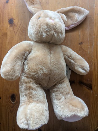 Build bear pawlette - a,