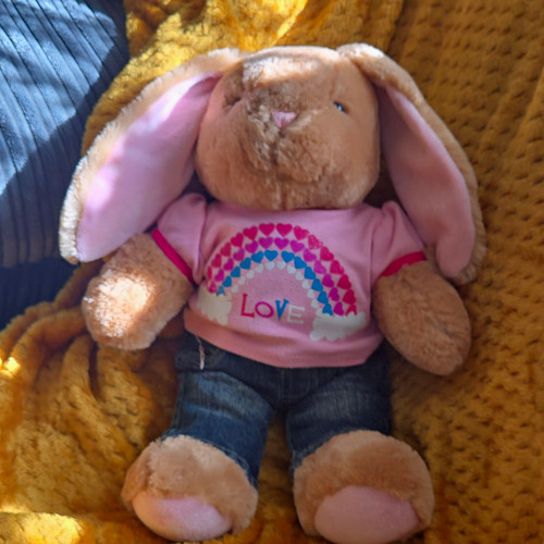 Build bear workshop bunny - build-a-bear,