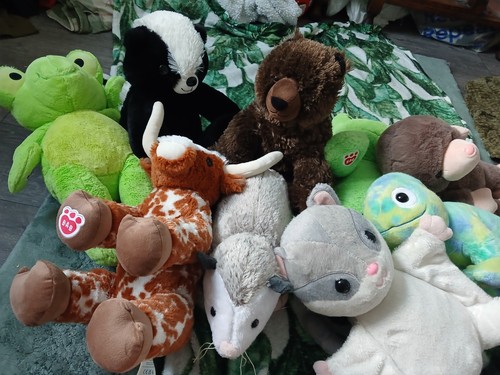 Official build bear - a,