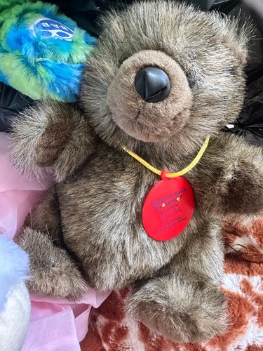 Build bear 2007 - bear,